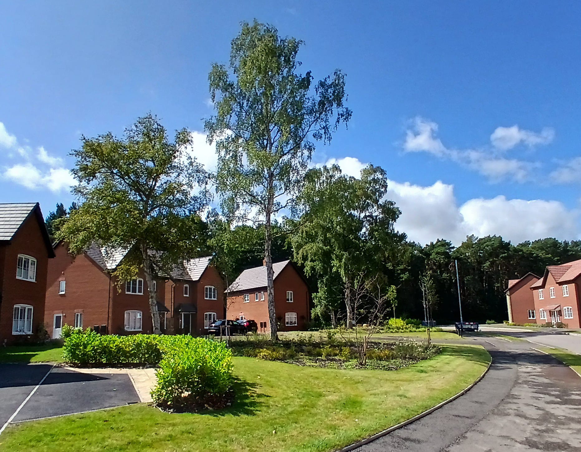 AstroWind Hero Image